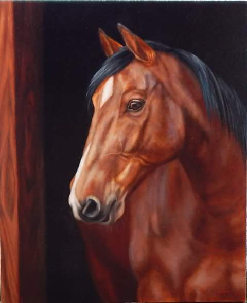 Cavalo - 50 x 60 - OST- 2019